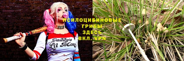 эйфоретик Новодвинск