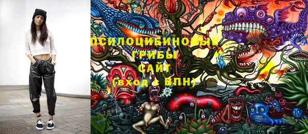 эйфоретик Новодвинск