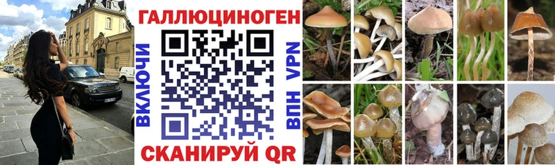 Псилоцибиновые грибы ЛСД  Тырныауз 